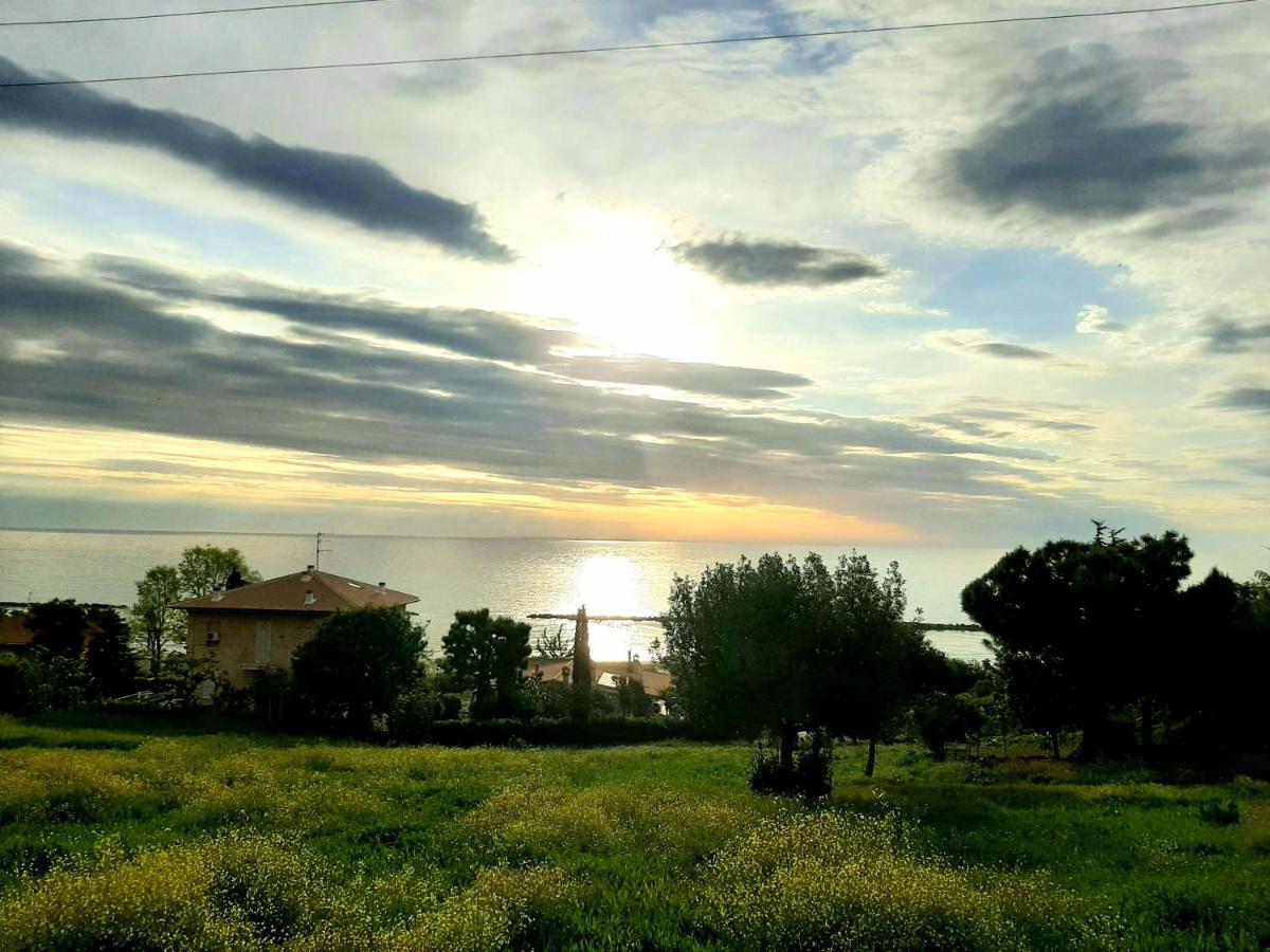 Bio Agriturismo Mare In Campagna Campofilone Экстерьер фото