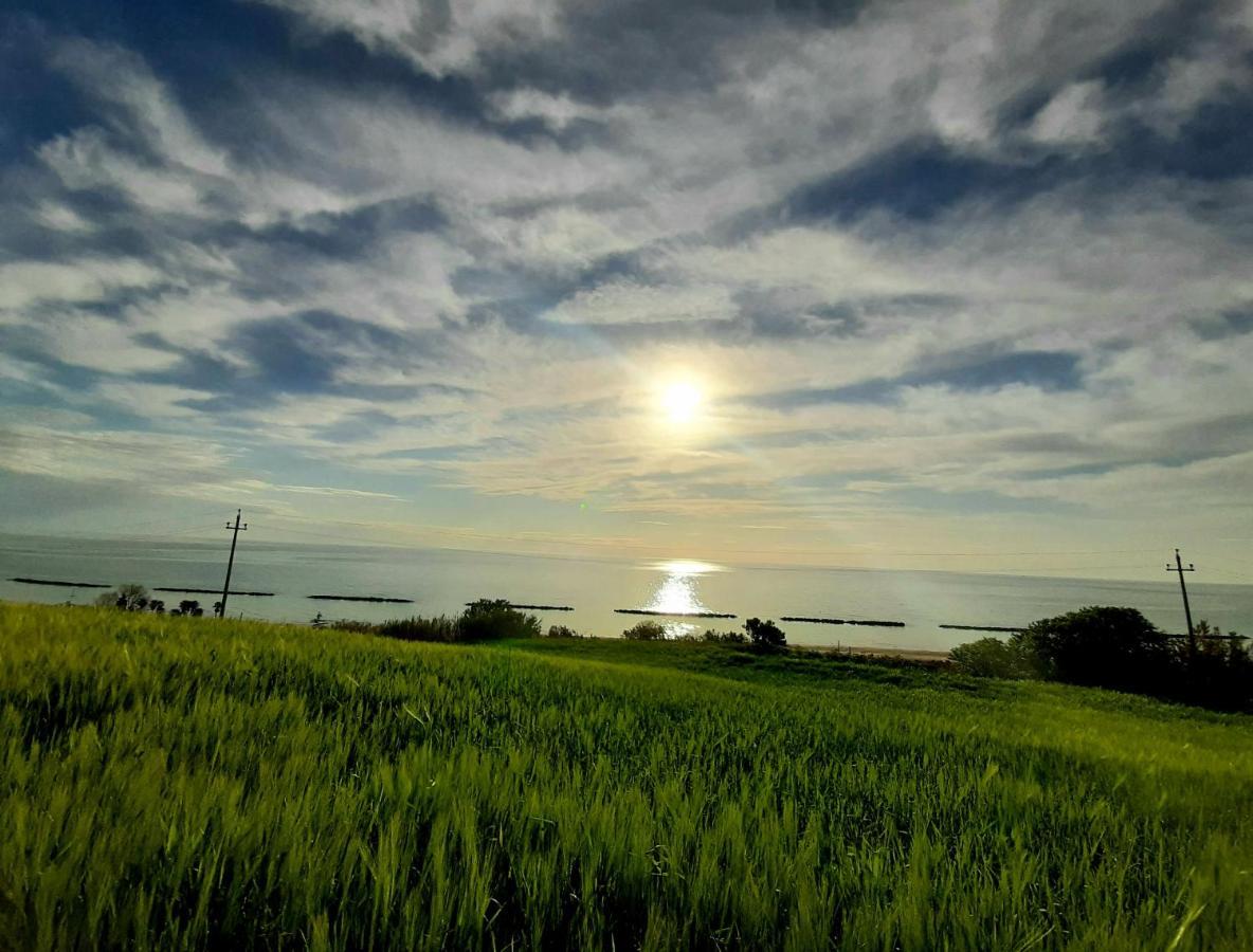 Bio Agriturismo Mare In Campagna Campofilone Экстерьер фото