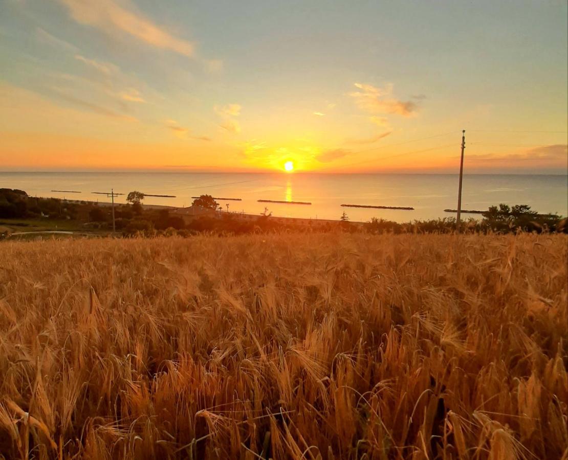 Bio Agriturismo Mare In Campagna Campofilone Экстерьер фото