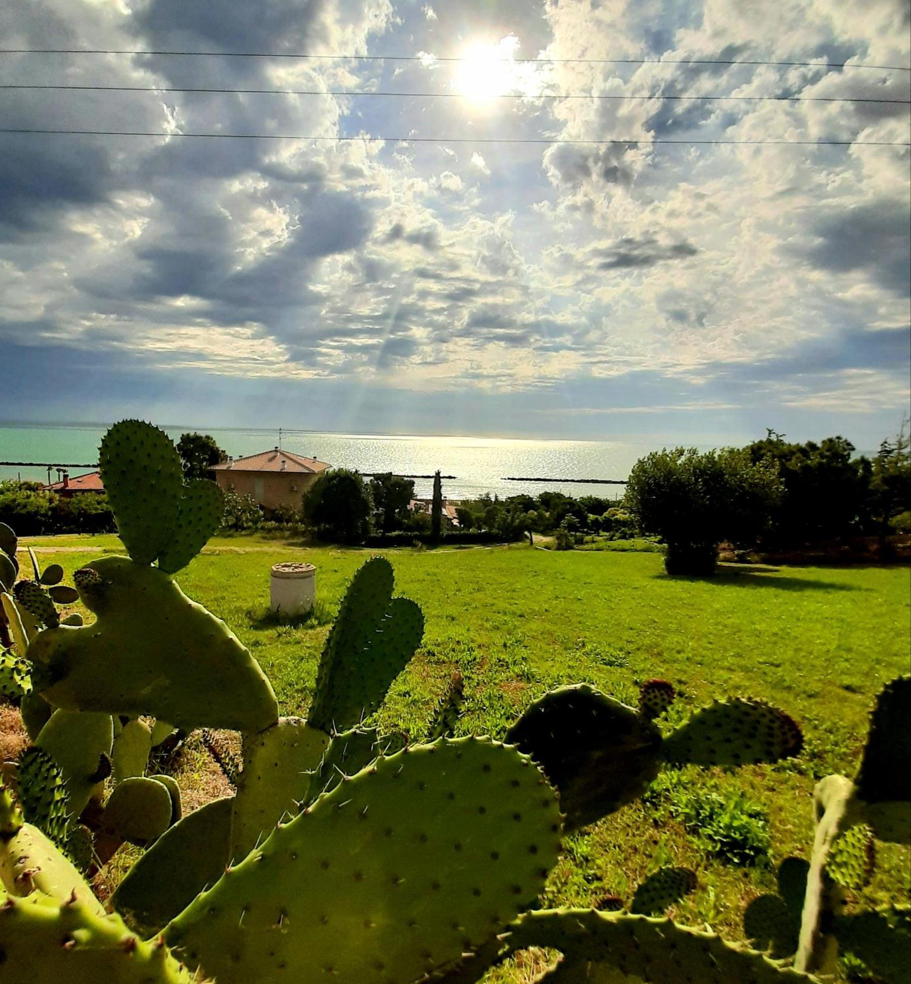 Bio Agriturismo Mare In Campagna Campofilone Экстерьер фото