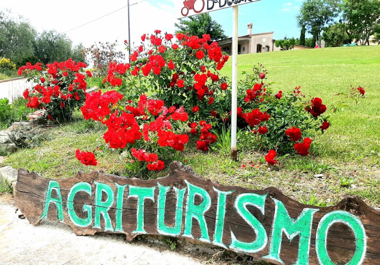 Bio Agriturismo Mare In Campagna Campofilone Экстерьер фото
