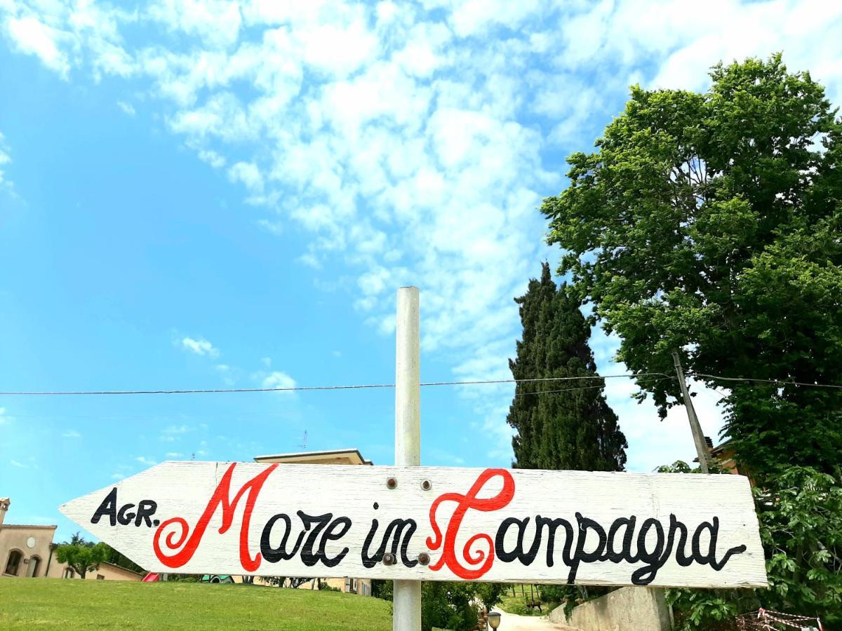 Bio Agriturismo Mare In Campagna Campofilone Экстерьер фото