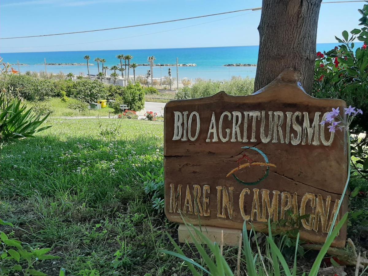 Bio Agriturismo Mare In Campagna Campofilone Экстерьер фото