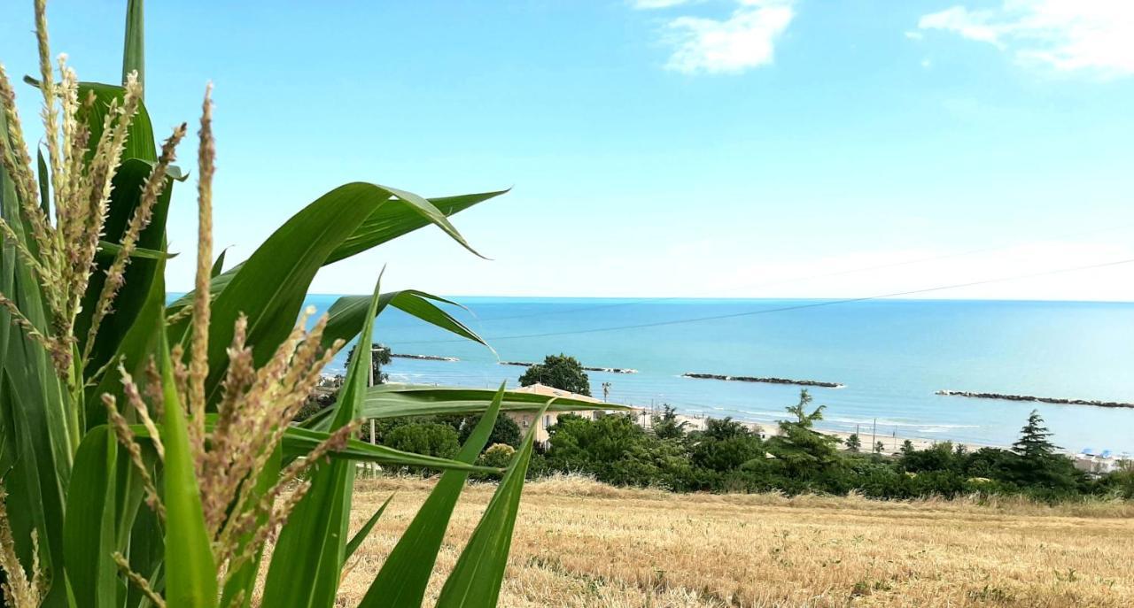 Bio Agriturismo Mare In Campagna Campofilone Экстерьер фото
